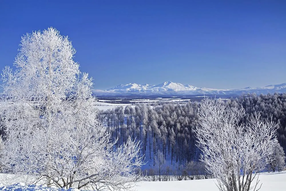 Guest House Itoh Asahikawa Japon